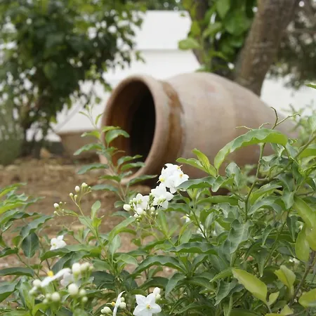 Apartment My Sicily - Casa Con Giardino Salemi