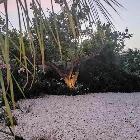 My Sicily - Casa Con Giardino *